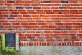 Old red vintage brick wall with chicken flap as background Royalty Free Stock Photo