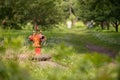 Old red vintage fire hydrant on the forest background.Close up,slelect focus with shallow depth of field Royalty Free Stock Photo