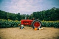 Tractor among Sunflowers in a very large sunflower field in the summer fall at harvest Royalty Free Stock Photo