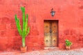 Old red wall, wooden door and green cactuses Royalty Free Stock Photo