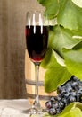 Old red wine Royalty Free Stock Photo
