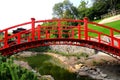 Old red wooden bridge across a small river in a green park. Vintage Japanese style bridge is reflected in water. Uman, Ukraine in Royalty Free Stock Photo