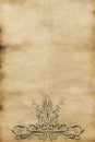 old regal paper parchment Royalty Free Stock Photo