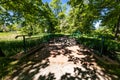 Old renovated retro bridge with green metal railings over small river in small colorful park