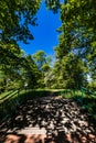 Old renovated retro bridge with green metal railings over small river in small colorful park