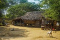 Old residential wooden house and guarding dogs Royalty Free Stock Photo