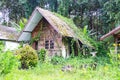 Old Resort or abandoned wood one floors level house in disrepair green trees and vines cover it. Royalty Free Stock Photo