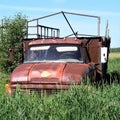 Old retired work truck put out to pasture Royalty Free Stock Photo