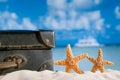 Old retro antique suitcase on beach with starfish, sea and sky b