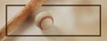 Old retro baseball banner background with copy space in frame