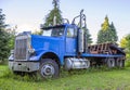 Old retro big rig blue semi truck tractor standing on the meadow with green grass and trees Royalty Free Stock Photo