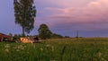 Old retro car in green grass meadow field