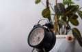 Old retro clock with a bell. Alarm clock with a flower pot in the background. Royalty Free Stock Photo