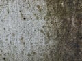 Old retro concentrate wall with dirty texture for 3D rendering for architecture