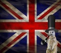 Old retro english concept of a funny elegant suricate wearing a top hat isolated on a background with the flag of england Royalty Free Stock Photo