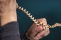 Old retro, old fashioned white telephone cord against green background, woman hand holding telephone cord Royalty Free Stock Photo