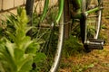 An old retro green Russian.bicycle in a green hall