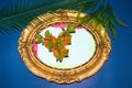 old retro old frame with 3 orange, around jungle and palm leaves, creative tropical design Royalty Free Stock Photo