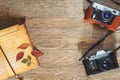 Old retro photo cameras in leather cases on wooden background in autumn Royalty Free Stock Photo