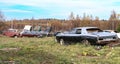 Old retro rusty abandoned cars junkyard. Vintage car outdoor