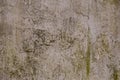 Old retro scratched yellow brown plaster wall covered with green moss texture background. Royalty Free Stock Photo