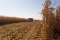 An old retro Soviet truck rides across a field for harvesting against a blue sky on a sunny day. Theme of transport and Royalty Free Stock Photo