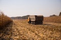 An old retro Soviet truck rides across a field for harvesting against a blue sky on a sunny day. Theme of transport and Royalty Free Stock Photo