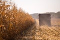 An old retro Soviet truck rides across a field for harvesting against a blue sky on a sunny day. Theme of transport and Royalty Free Stock Photo