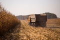 An old retro Soviet truck rides across a field for harvesting against a blue sky on a sunny day. Theme of transport and Royalty Free Stock Photo