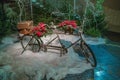 Old retro tandem bicycle and christmas decors, red flowers. Travel photo 2018. december