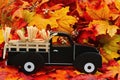 Old retro truck with fall leaves