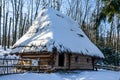 Old retro ukrainian house in winter village