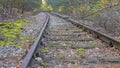 Old Rhine iron railway IJzeren Rijn with tree branches on the disused train track, autumn trees Royalty Free Stock Photo