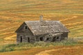 Old shed in a field of swathed grain