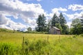 An old rickety wooden barn on the edge of a green meadow with lush grass