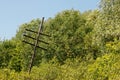 Old rickety wooden telegraph pole