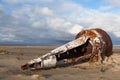 Old river buoy Royalty Free Stock Photo