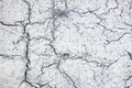 Old road background - surface of white cracked cement texture