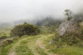 Old road contryside near to a big monoliths with andean cloudy forest