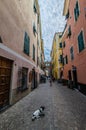 Old road in Liguria