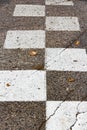 Old road markings. White squares in a checkerboard pattern