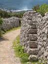 Old road, olive grove and stone walls near the city of Cres