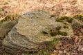 An old rock in a meadow. Moss on it, around old grass