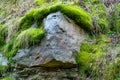 The old rock in the wood moss-grown Royalty Free Stock Photo