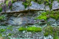 The old rock in the wood moss-grown Royalty Free Stock Photo