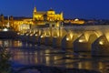 Old roman bridge and tower Calahora at night, Cordoba Royalty Free Stock Photo