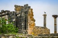 Old roman city of Volubilis near Moulay Idriss and Meknes