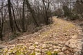 Old roman road near Beli on the island of Cres Royalty Free Stock Photo