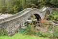 Old Roman stone bridge in forest Royalty Free Stock Photo