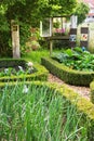 Old romantic farm garden in the summer. Royalty Free Stock Photo